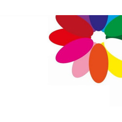 Alstroemeria mix in box