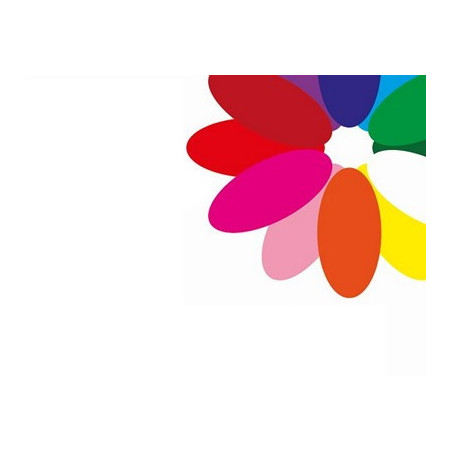 Alstroemeria mix in box