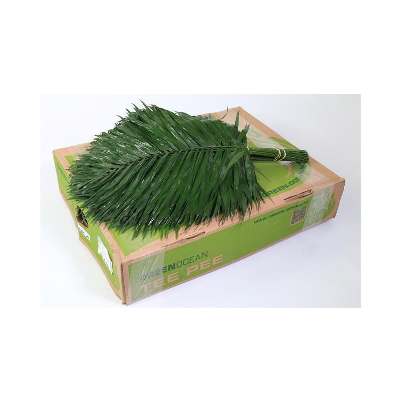 Leaf chico teepee Green Ocean