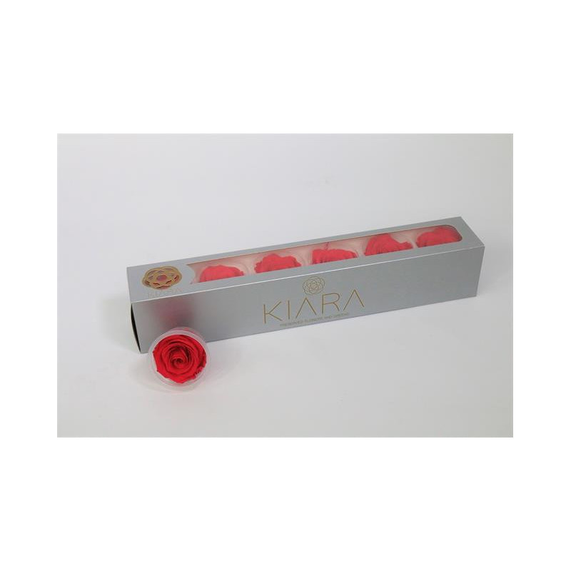 Preserved rosa hot pink