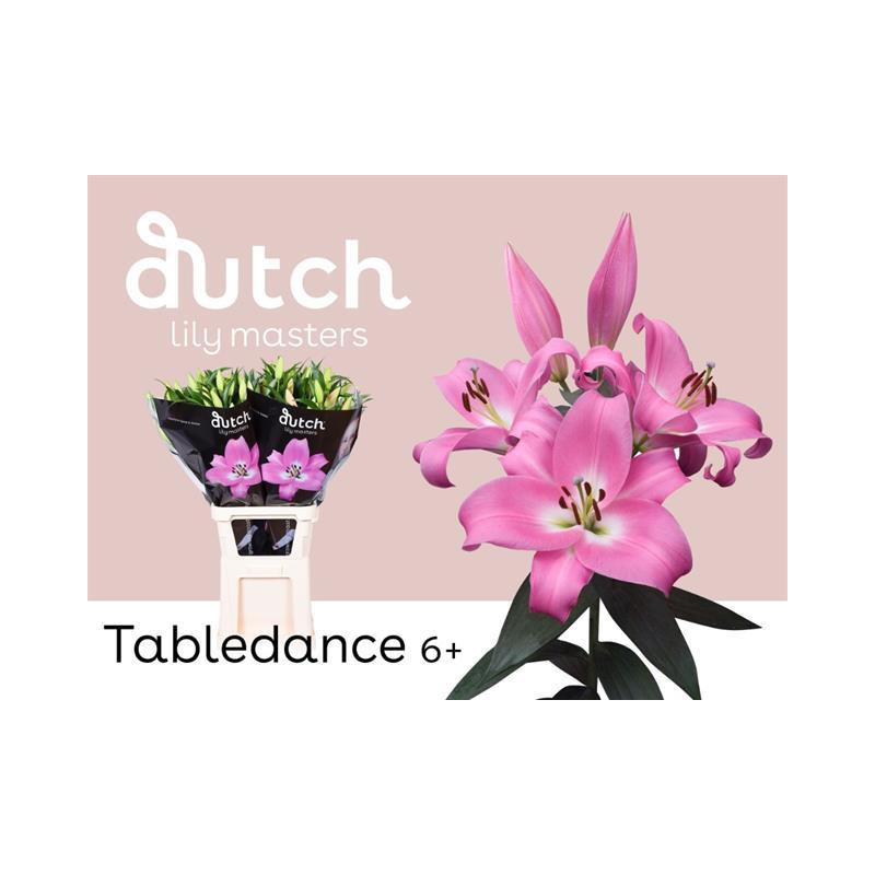 Lilium or tabledance