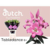 Lilium or tabledance