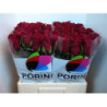 Rosa la ever red